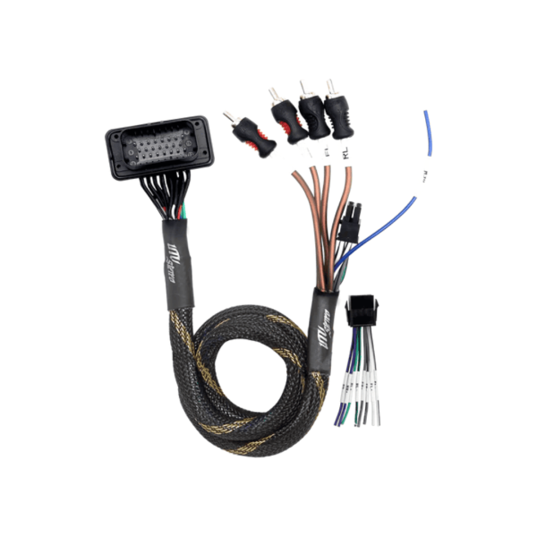 Salida de audio RCA front y rear + remoto RZR PRO UTV STEREO