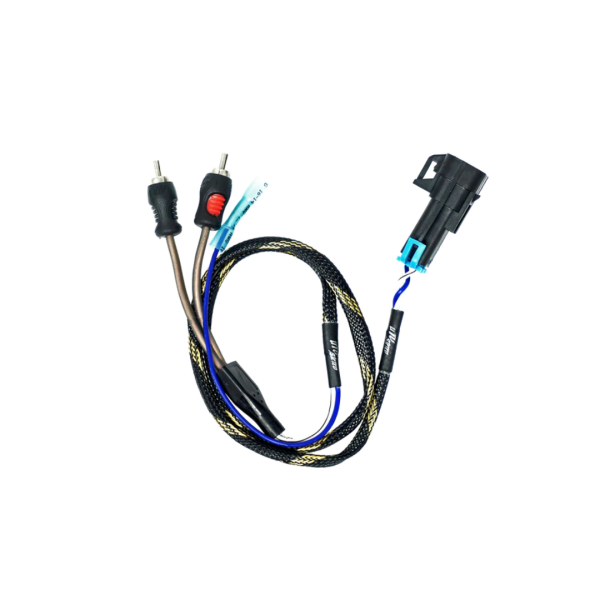 Salida de audio RCA Subwoofer + remoto RZR PRO UTV STEREO