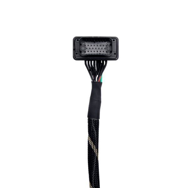 Salida de audio RCA front y rear + remoto RZR PRO UTV STEREO - Imagen 2